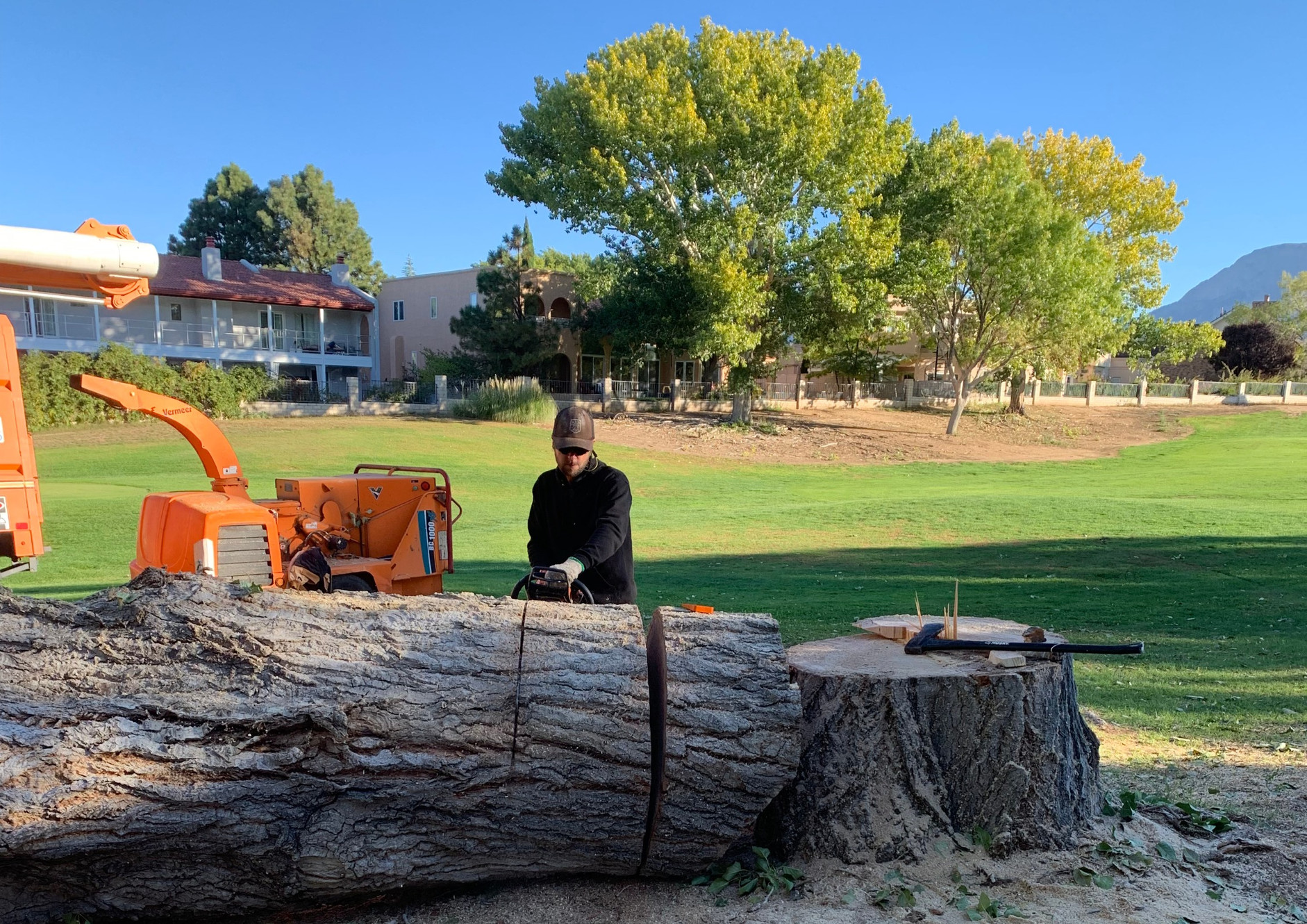 Tree Removal Service American Tree Removal New Mexico