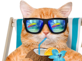 Relaxation Cat with glasses and drink