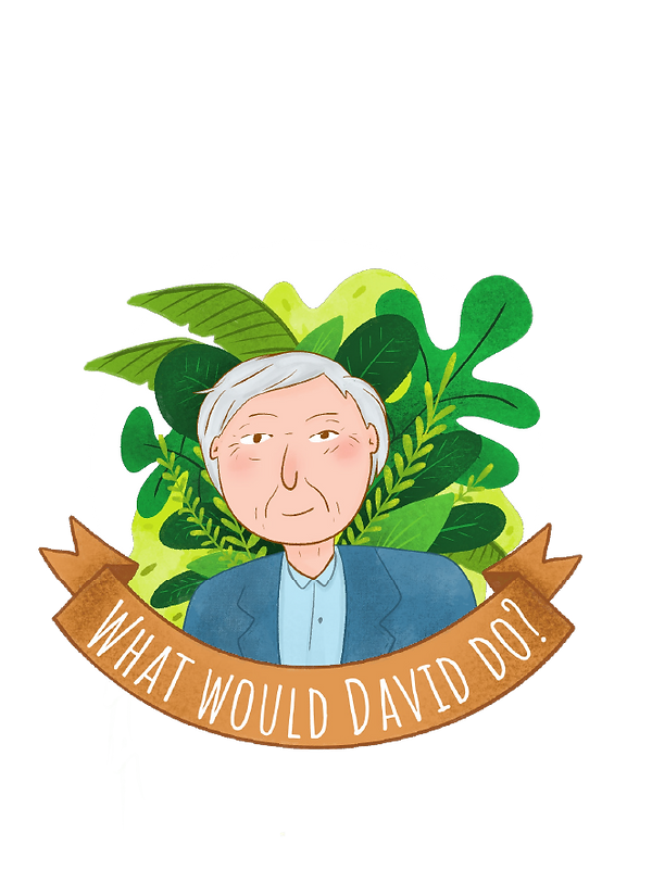 WWDD.png
