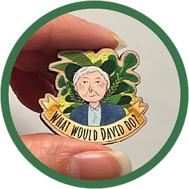 WWDD badge.png