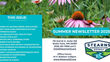 Summer 2025 Newsletter