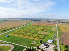 Rosholt Field Day on August 12th in Westport