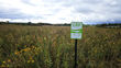 Stearns Conservation District and Third Street Brewhouse Announce “Fields of Gold” Initiative to encourage landowners to enroll in the Conservation Reserve Program (CRP)