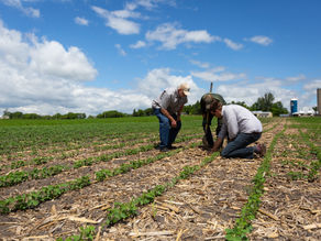Videos now available from Soil Health & Nutrient Management Field Day 