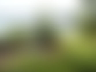 Stearns County Shoreland Workshop