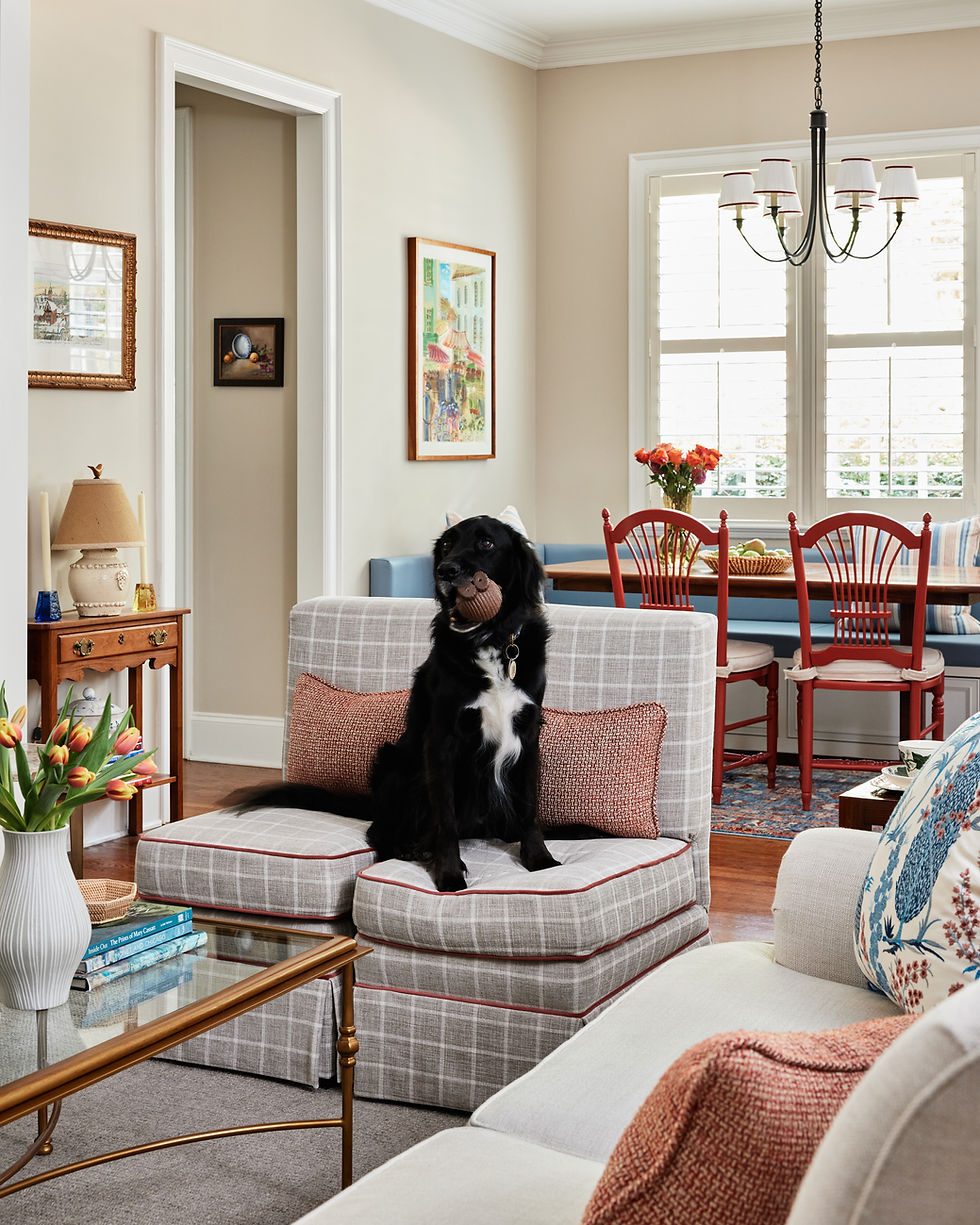 Ballantyne Collected and Stylish