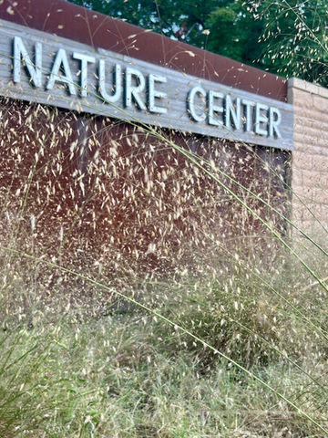 Native Plants OKC