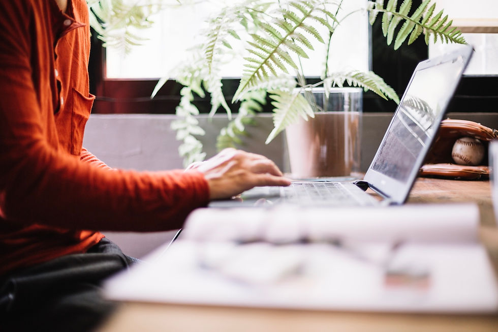 Person in a red sweater typing on a laptop. Background has a potted fern and a window, creating a bright, focused workspace ambiance.