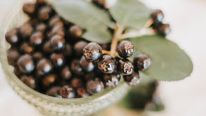 The Power of Maqui Berry for Relaxation and Wellness