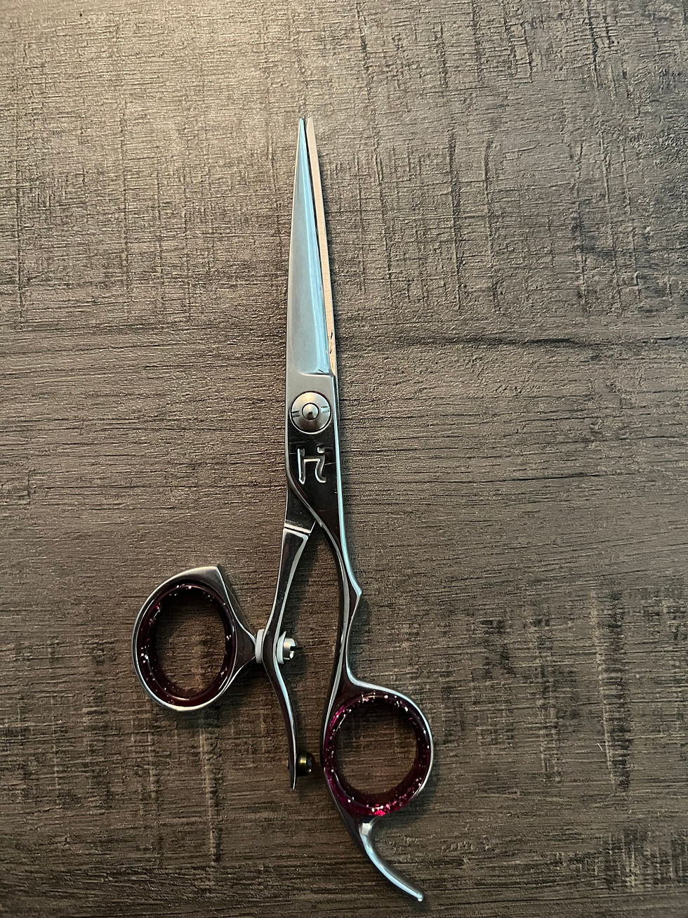 Hattori Hanzo HH-3 Ayako 5.5 swivel shears