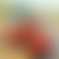 Testing the fixed blog image embedding