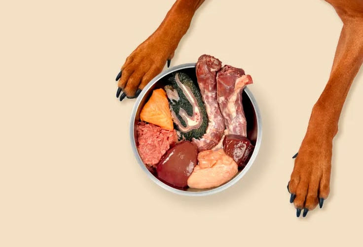 DIY Raw Meal for Dogs_ Turkey Bowl Recipe - Carnos.jpeg