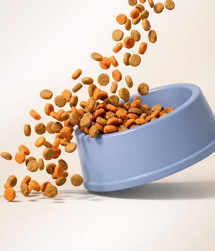 A bowl of kibble spilling out