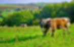 Stories At The Farm