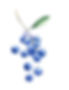 Blueberries