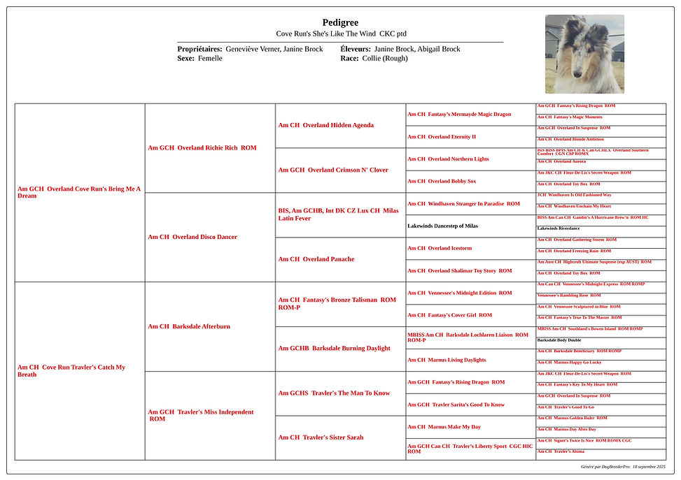 pedigree_Cove Run's She's Like The Wind_2025-09-18.jpg