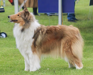 IMG_6149 - Copy.JPG