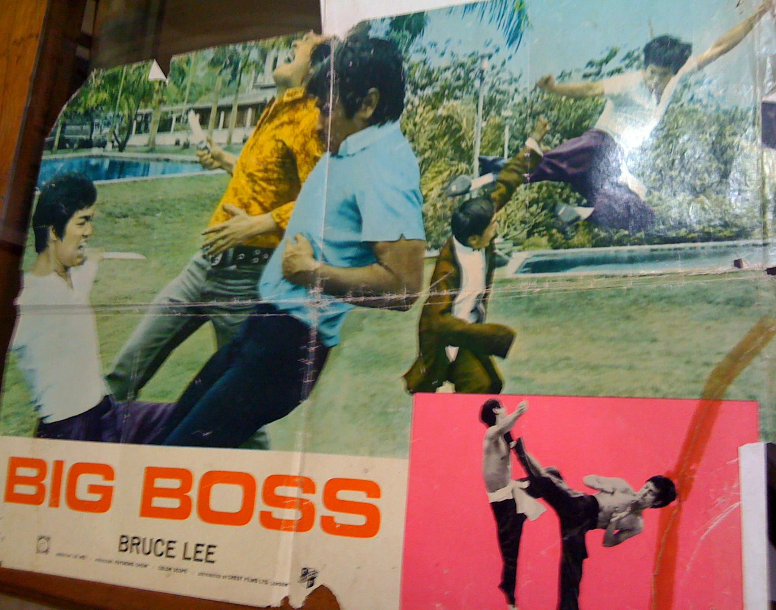 Bog Boss Locandine 2