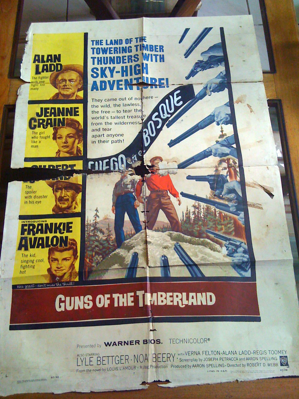 Guns of the Timberland