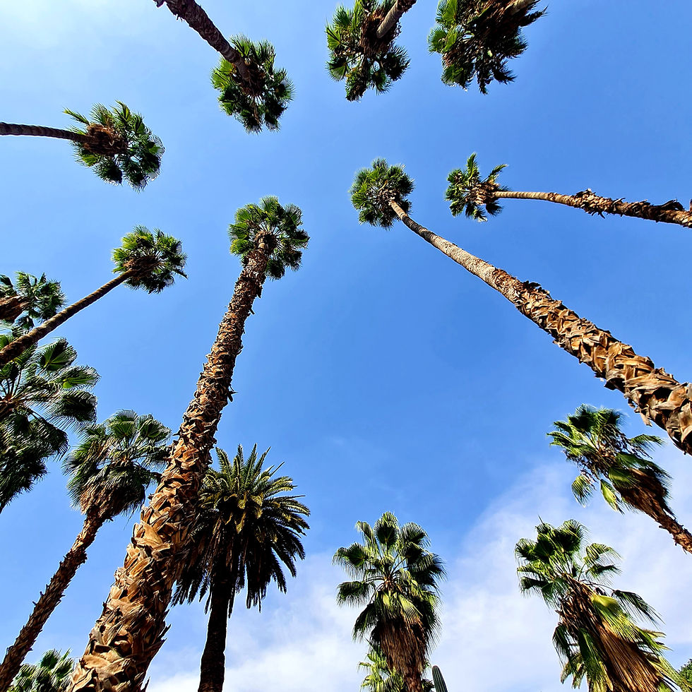 Dance Camp Marrakech 3.jpg