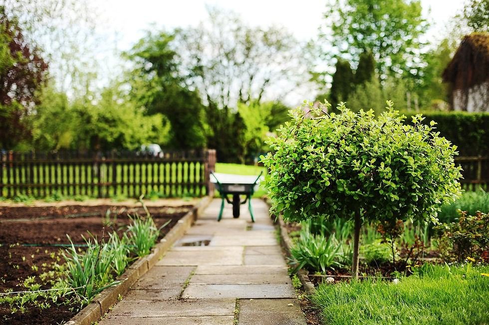 Entretien de Jardin5.jpg