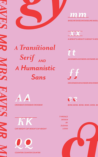 TYPEFACE COMPARISON POSTER