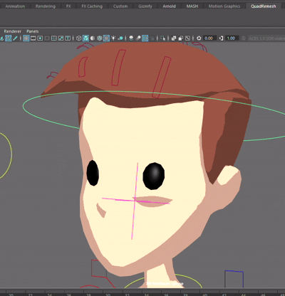 pinjointdefotrack2.gif