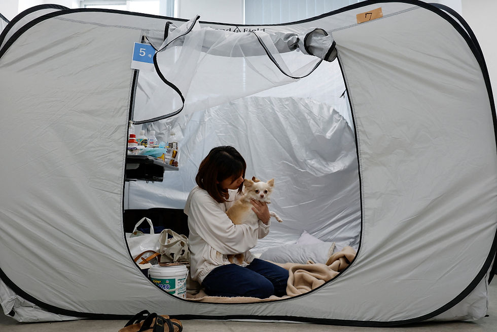Welcome, doggies and hoomans! Animal hospital brings in Japan quake survivors and their pets