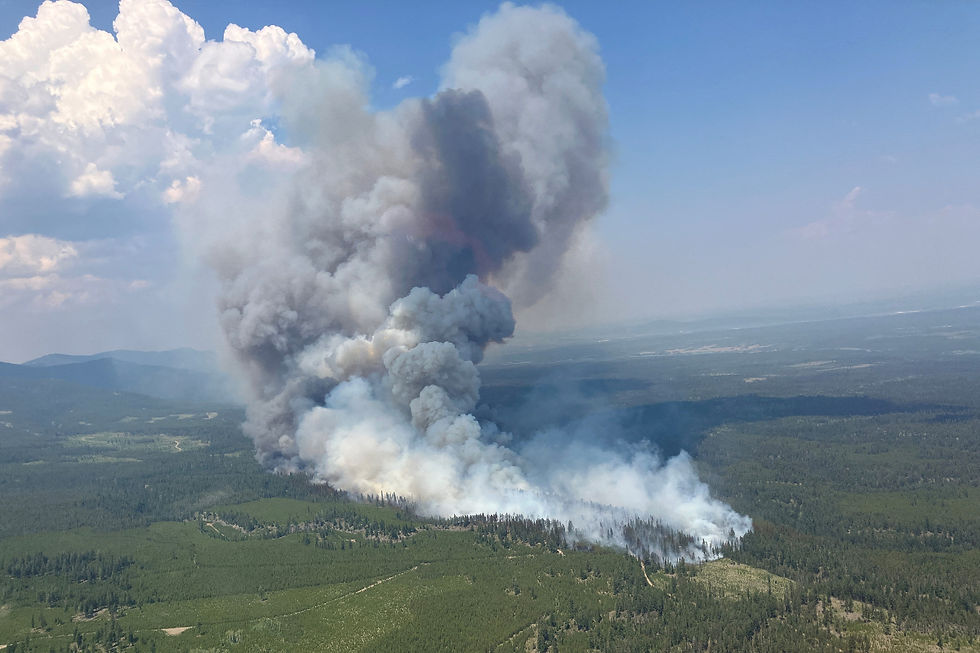 Canada prepares to evacuate Ontario town as wildfire smoke spreads to US
