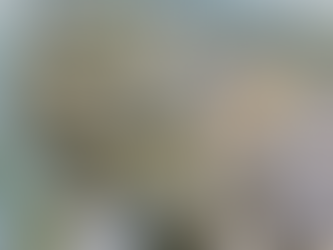 Al Waha 1 Residences Expo City.