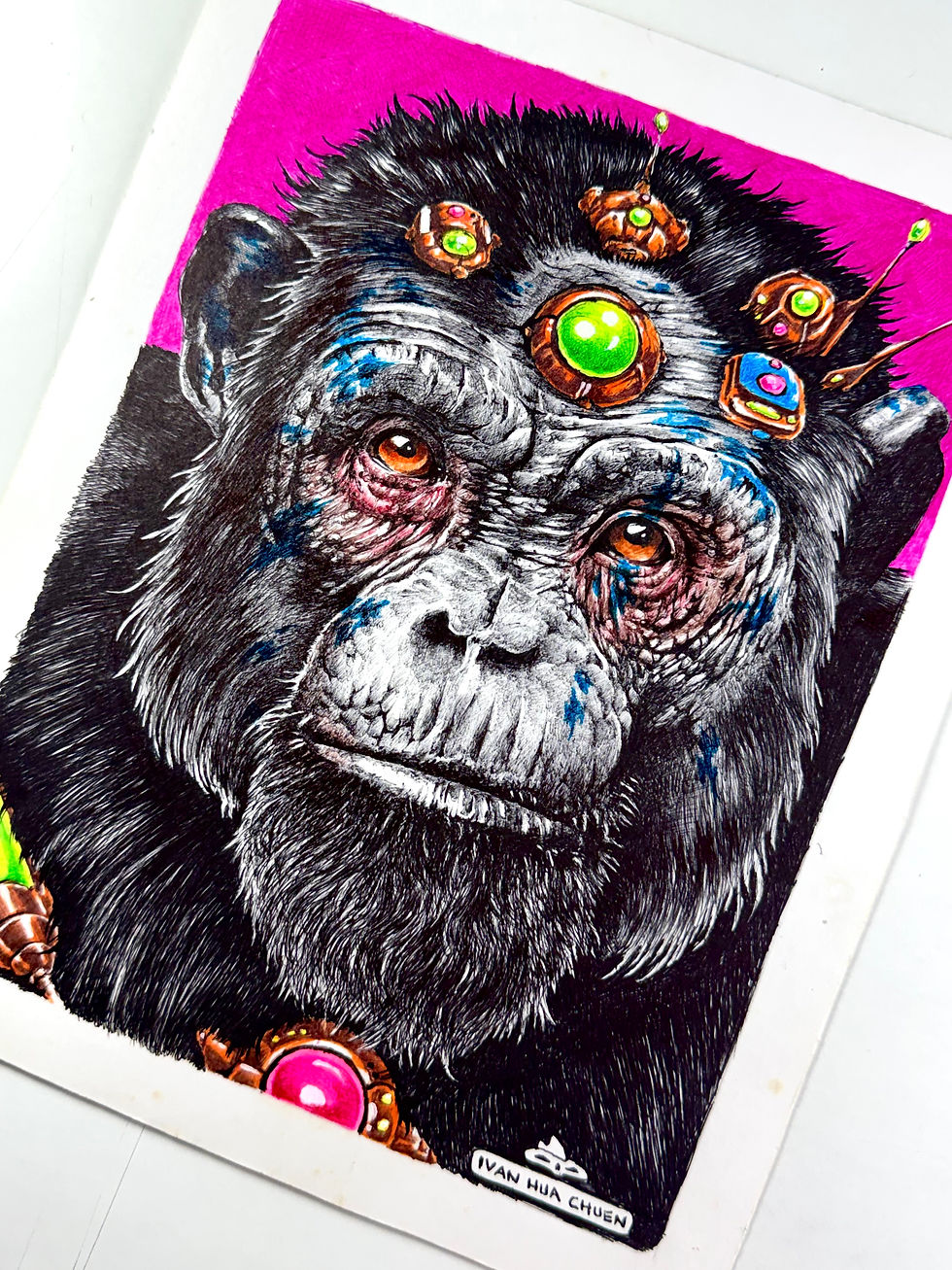 Miniatura: Bubble Chimpanzé - Série Cyber Fauna