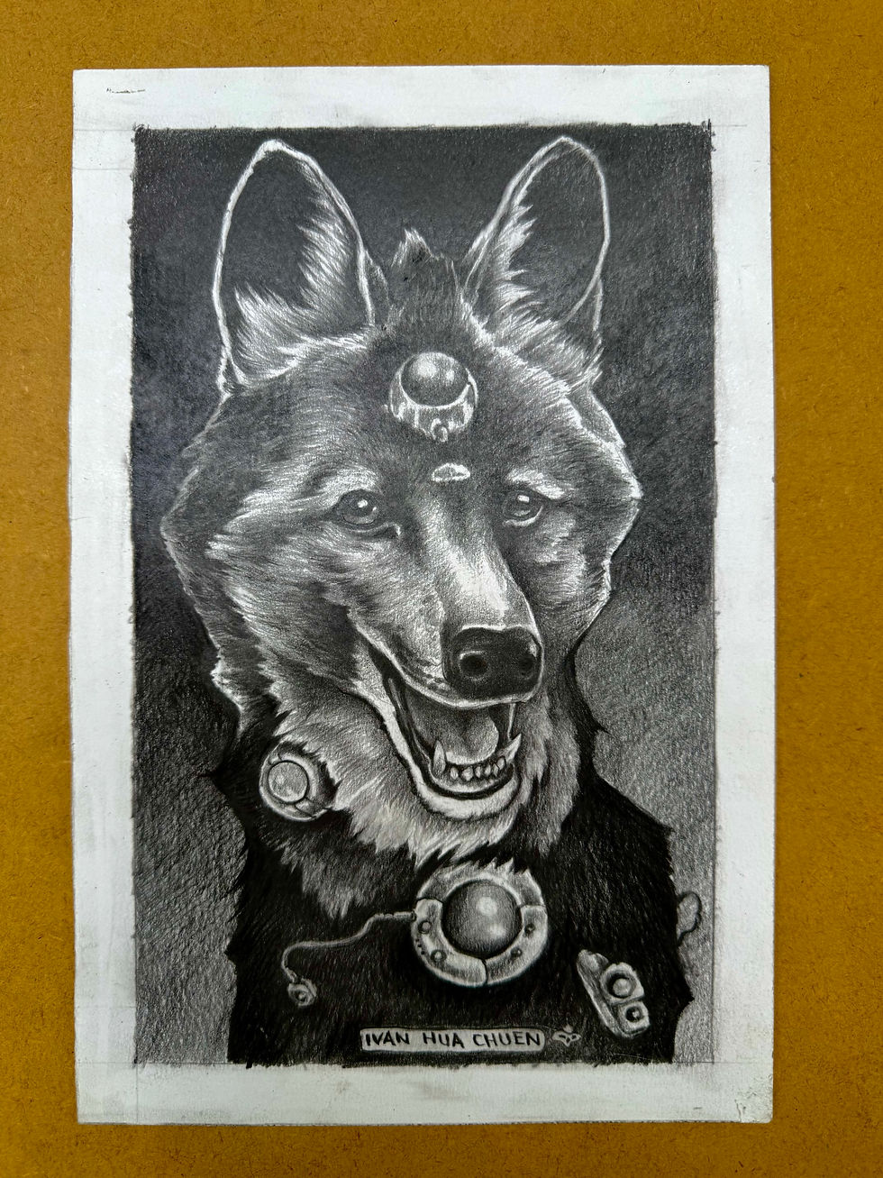 Miniatura: Lobo guará