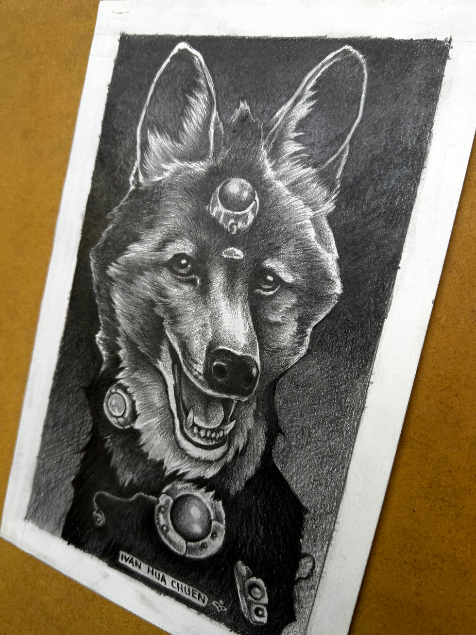 Miniatura: Lobo guará