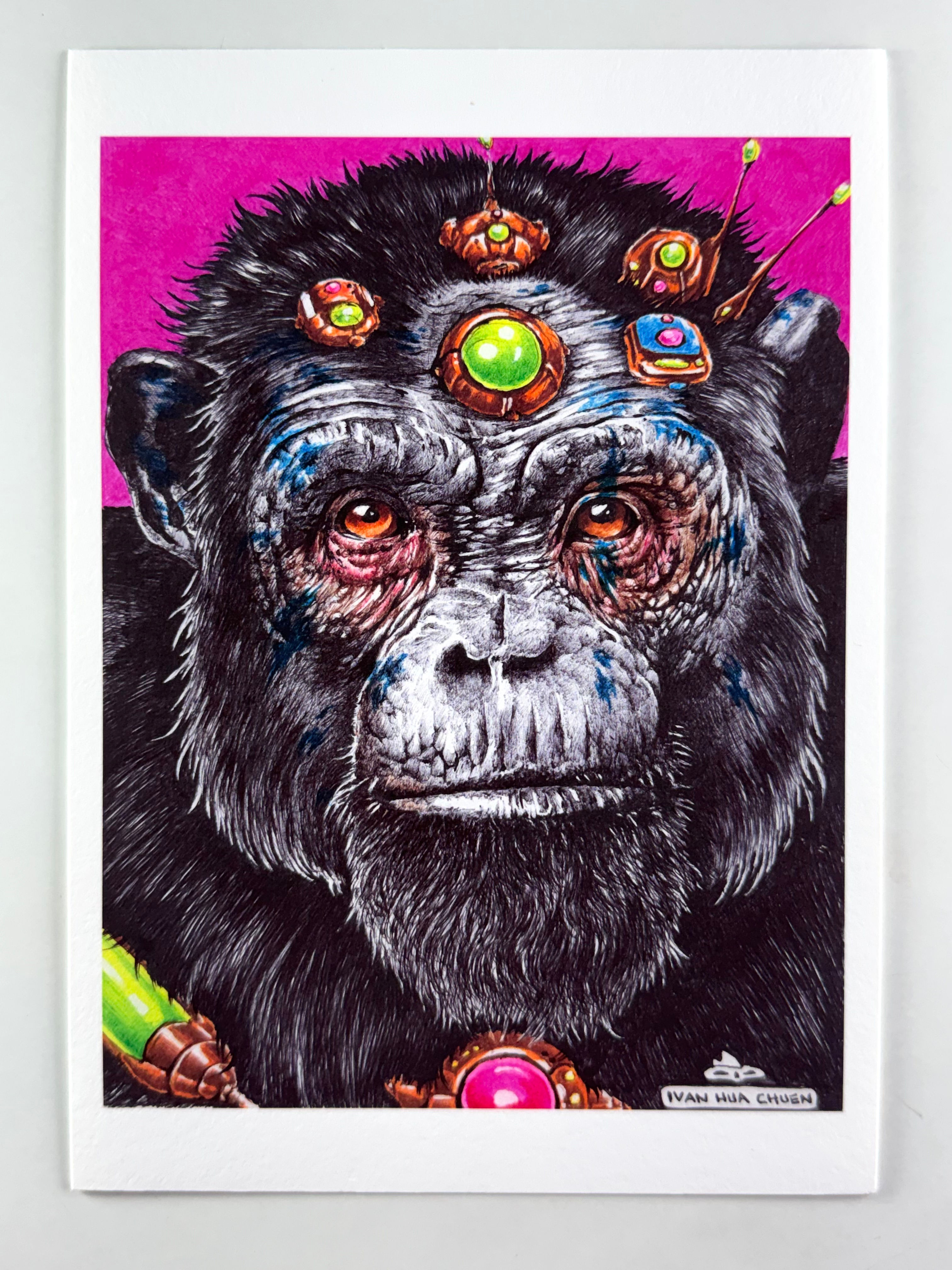Print Bubble Chimpanzé A5