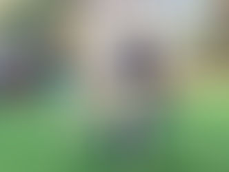 סוף שבוע של אימוץ: עמותת ״בשביל בעלי החיים״ תציע לאימוץ כלבים מאולפים