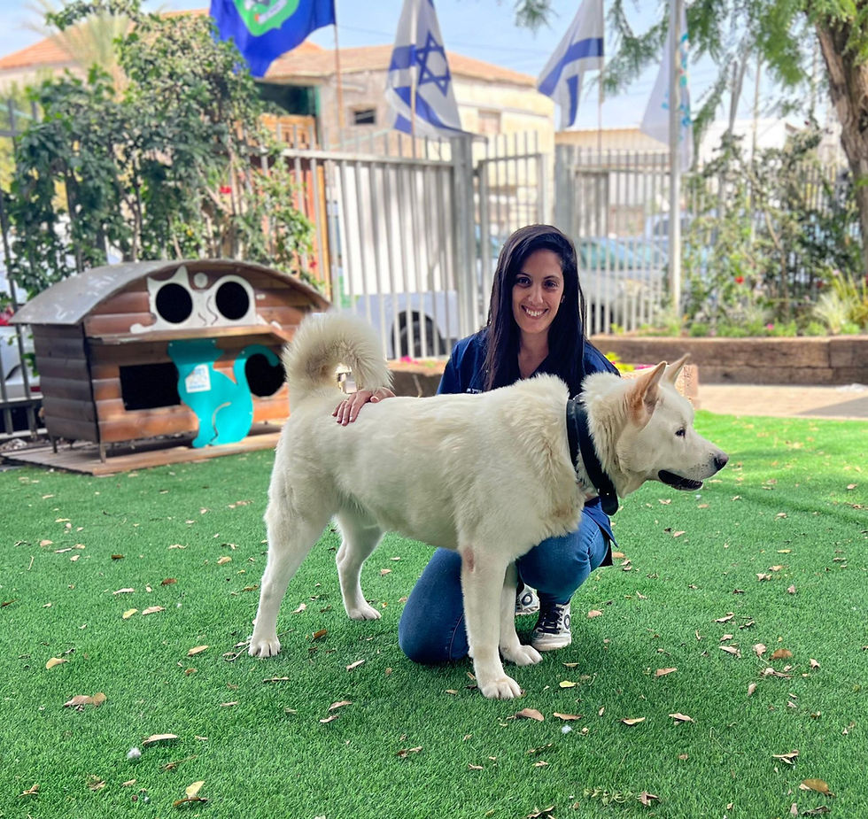 יום אימוץ מיוחד למען כלבי הדרום והעוטף בשישי הקרוב בגינת החרוזים