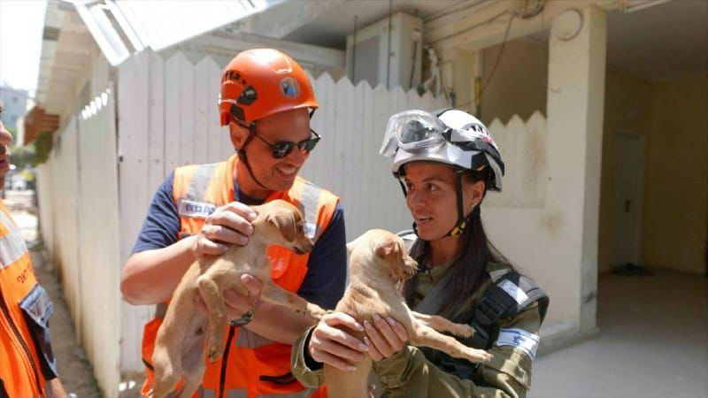 הגורים אפי והגרי. צילום: יח,צ