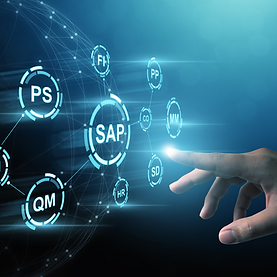 SAP Solution Graphic.png