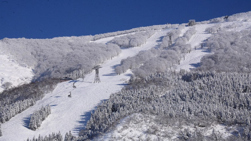 奈良発 スノーボード スノボ ツアー