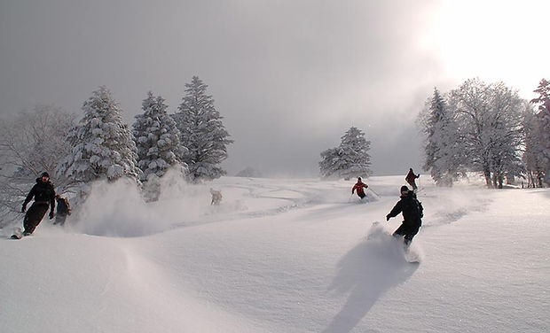 ski_pic_r0949.jpg
