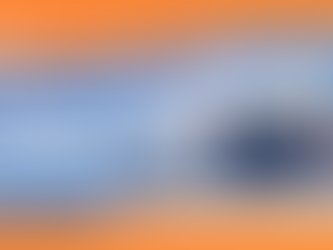 Customs Authority Director EA FAQs — Why Clearance, Risk, and Duty Systems ≠ Customs Enterprise Architecture?