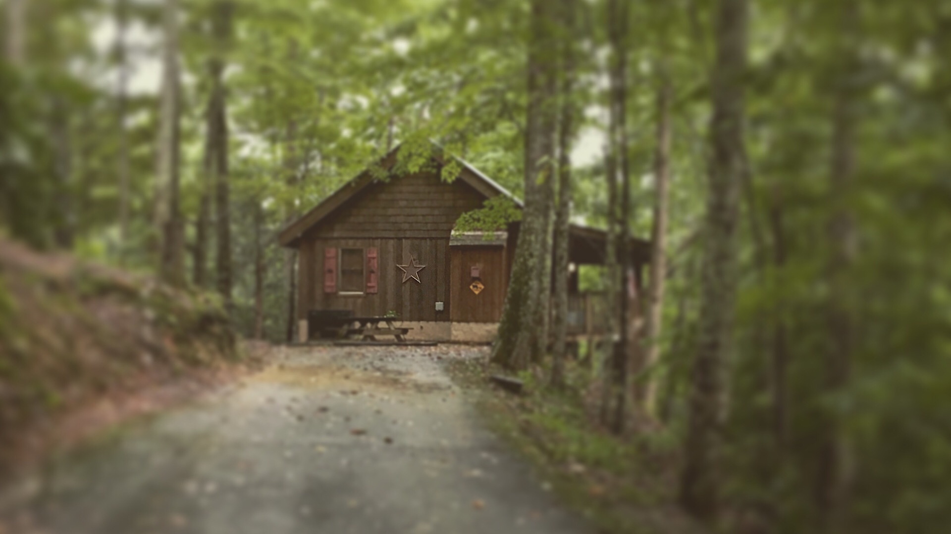 Black Bear Lodge | Gatlinburg | Smoky Mountain Cabins