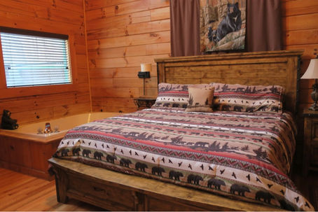 Cabin Updates 