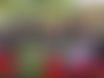 Youth For Mission Se-Pekanbaru Satukan Visi Pemuda Menuju Reach 2026