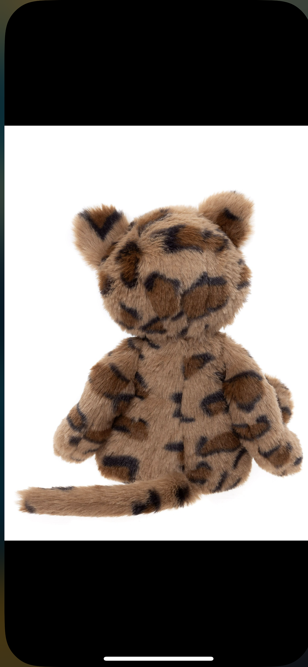 Thumbnail: LENNY LEOPARD