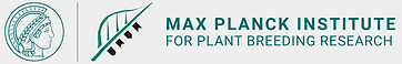 logo.png
