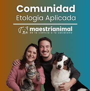 Portada Comunidad 1x1.png