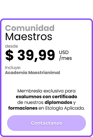 Comunidad Maestros - Mensual.png