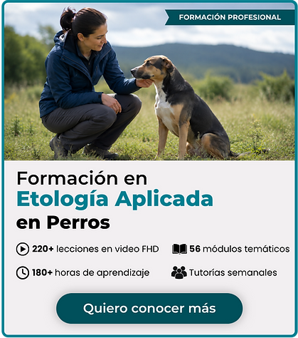 Formación en Etología Canina