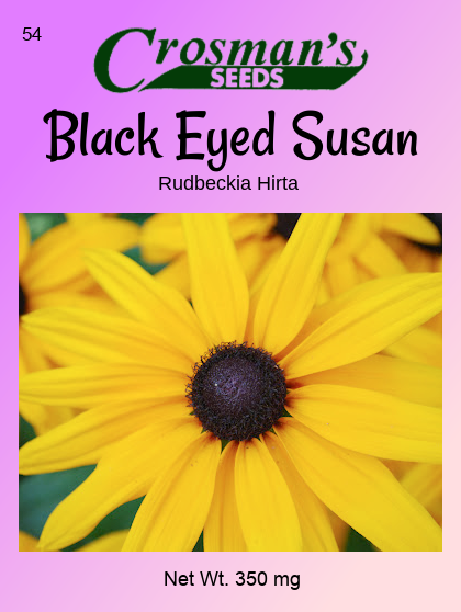54 Black Eyed Susan